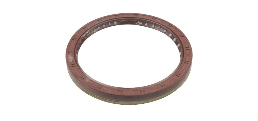 Radial Shaft Sealing Ring BS4/6